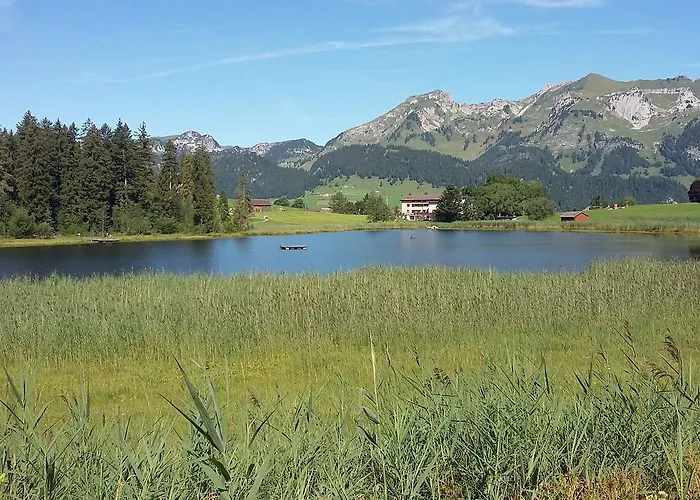 Hotel Restaurant Schoenau Wildhaus