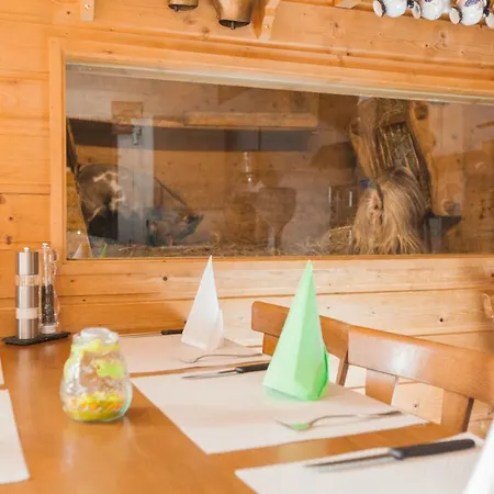 Hotel Restaurant Schoenau 3*