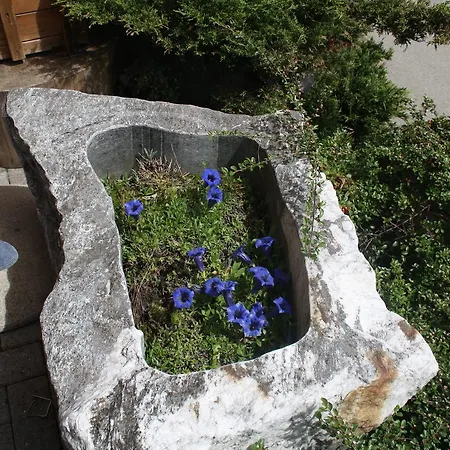 Hotel Restaurant Schoenau