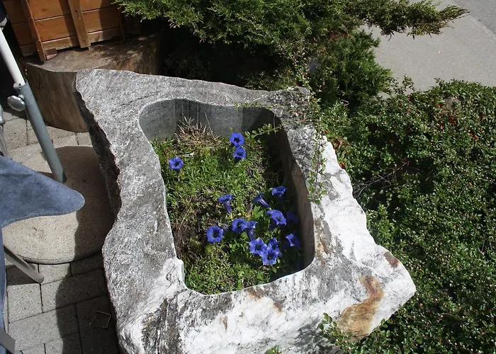 Ξενοδοχείο Restaurant Schoenau