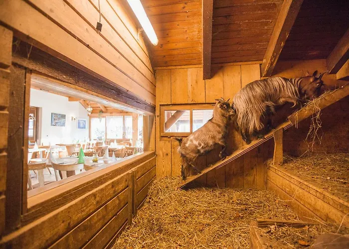 Restaurant Schoenau 3*